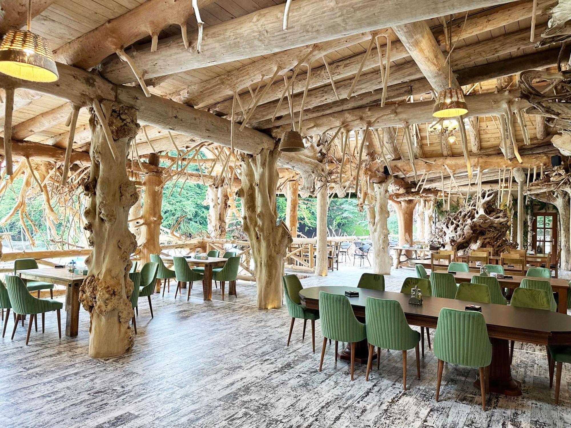Hotel Conacul Radacinilor Petroşani Exterior foto